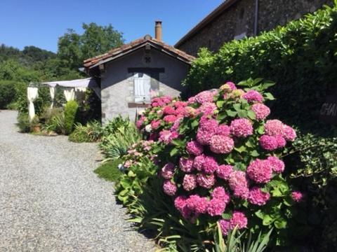 Loft Atypique Bed & Breakfast Villeneuve-de-Rivière Exterior foto