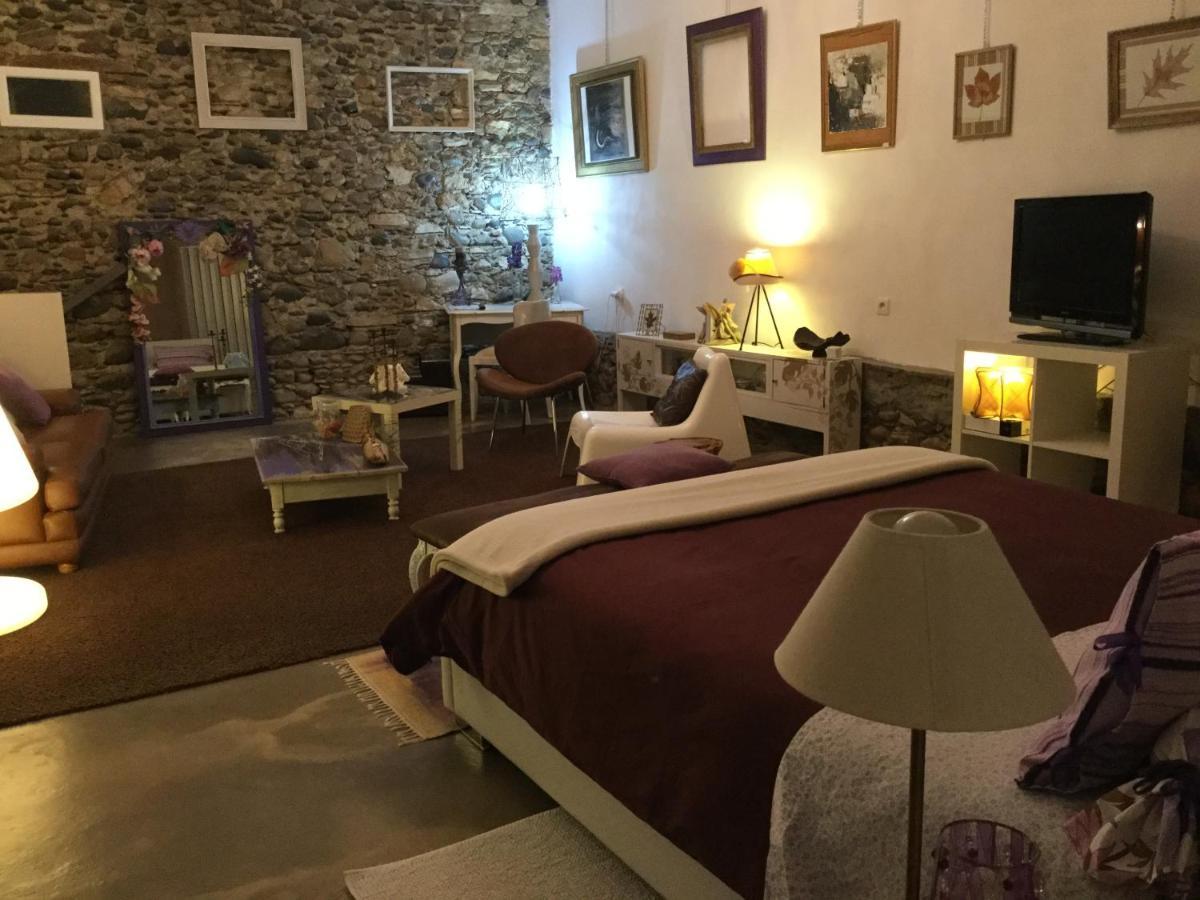 Loft Atypique Bed & Breakfast Villeneuve-de-Rivière Exterior foto